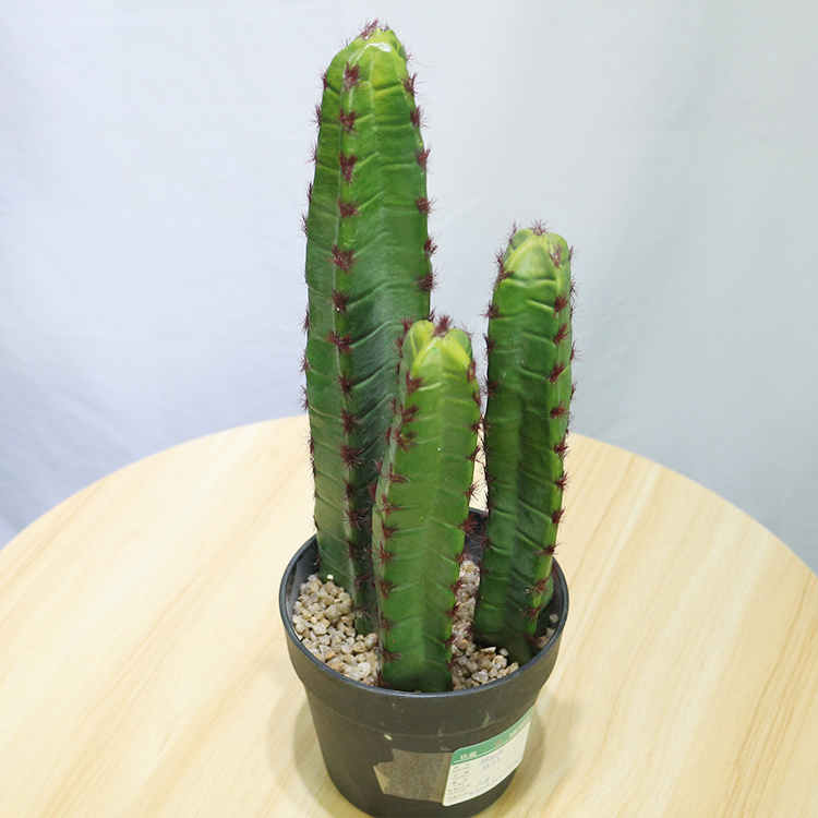High-Quality-Faux-Greenery-Plastic-Plant-Home-Decor-Cactus (2).jpg